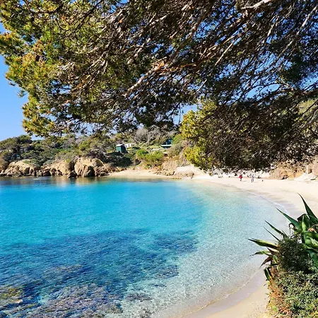 Vieux Moulin Avec Piscine Pour 7 Personnes Avec Piscine A * Hyères
