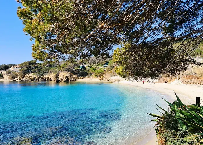 Viieux Moulin Avec Piscine Pour 7 Personnes Avec Piscine à * Hyères